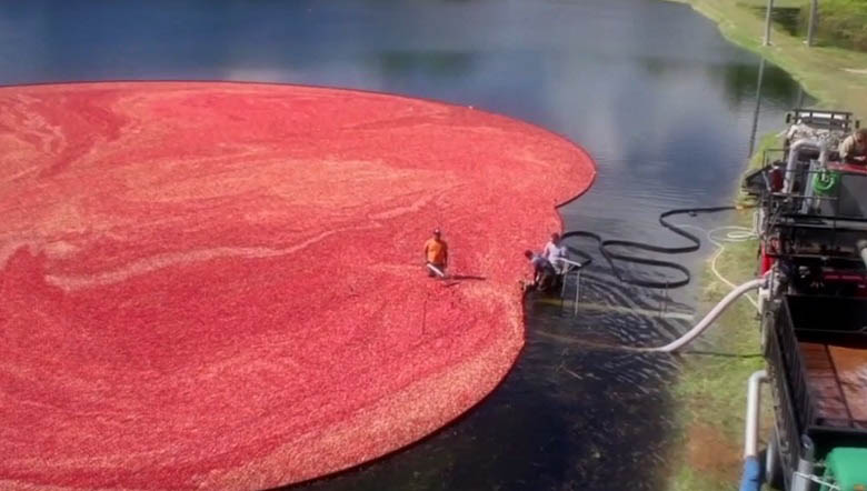 虚拟现实的五大营销案例鉴赏