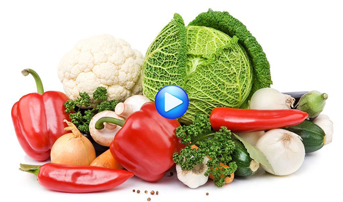 科技前沿大师谈视频：转基因农业的发展