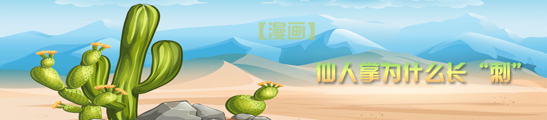 【漫画】仙人掌为什么长&ldquo;刺&rdquo;