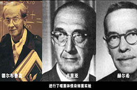 微视频：DNA双螺旋开启分子生物学