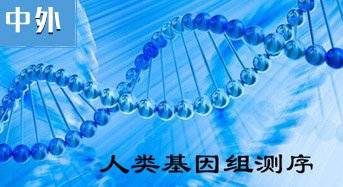 人类基因组测序