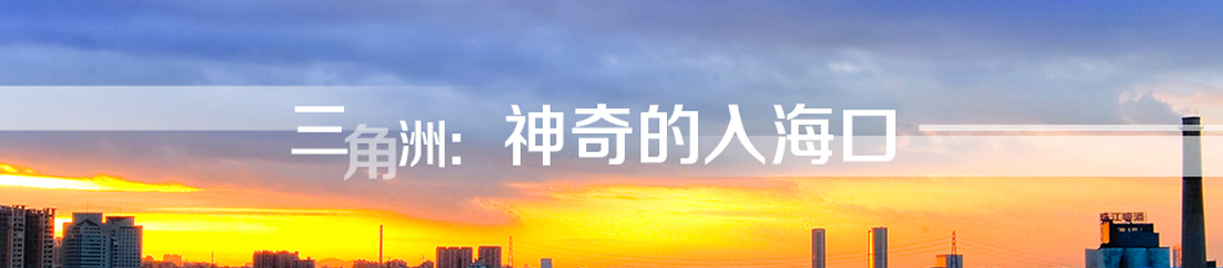 三角洲：神奇的入海口