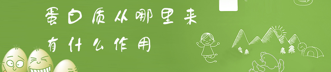 蛋白质从哪里来，有什么作用