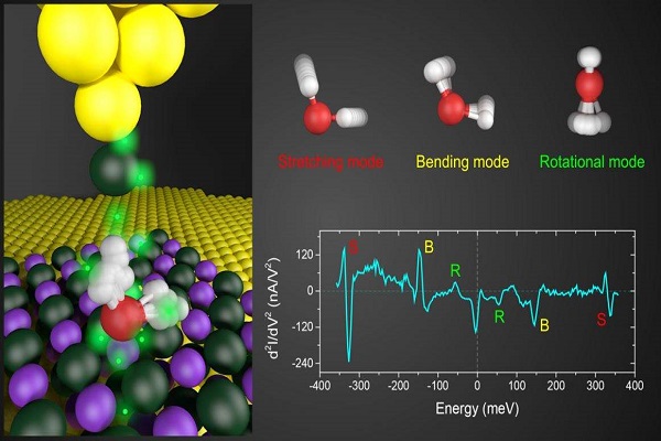 我国科学家在国际上首次揭示水的核量子效应
