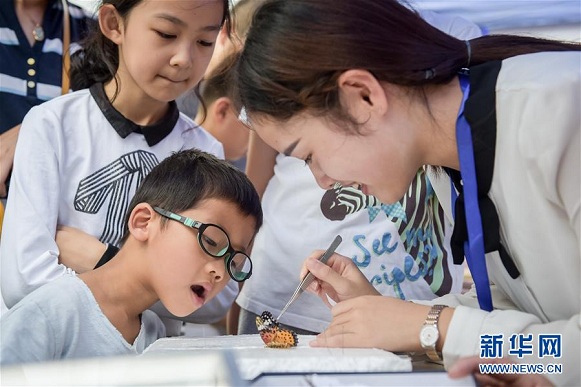 全国科普日现场 小朋友仔细观察蝴蝶