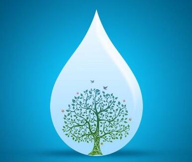 世界水日：水——你了解多少？