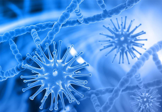 认识人类遗传密码中的非编码序列