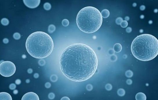 抗氧化剂能延缓衰老？科学家提醒别瞎吃