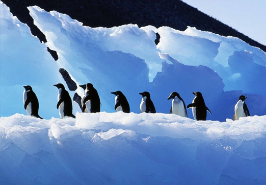 冰天雪地的南极被称为&ldquo;陨石仓库&rdquo;？