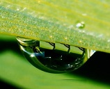 陈子元：我国的核农学（上）