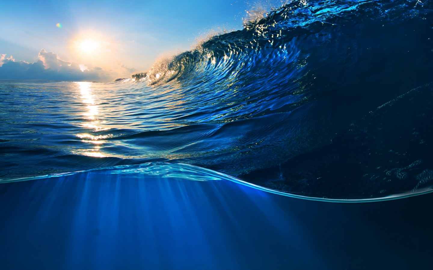 新研究：海洋保护区有助应对气候变化