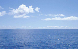 与海洋的一次深入对话