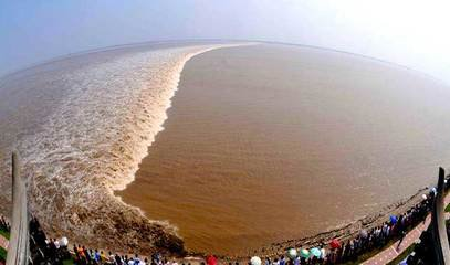 神奇海洋的超能量