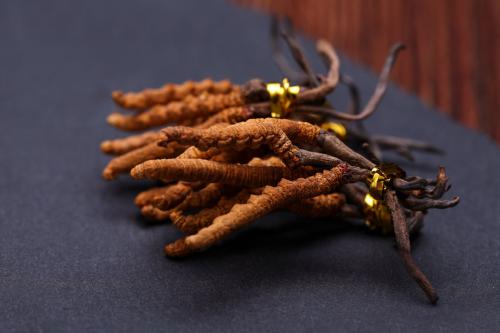 笔尖科学&mdash;&mdash;冬虫夏草