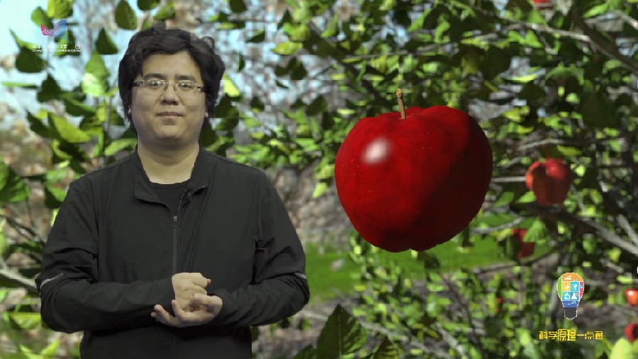 第三十七集 天气预报