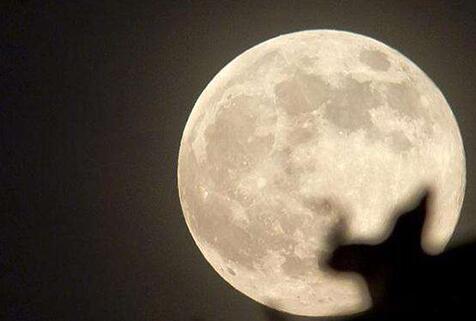 一封来自&ldquo;超级月亮&rdquo;的邀请函