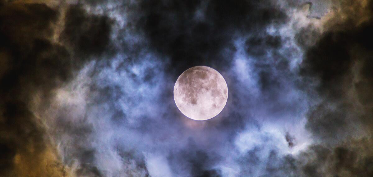 月华（李鹏 摄）