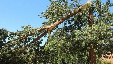 【防灾减灾】遇到风灾，你该有的第一反应