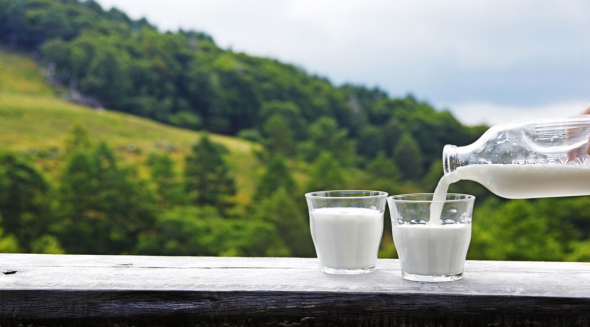 冷鮮奶比常溫牛奶更有營養是真的嗎？