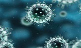 带你了解新型冠状病毒如何自我防护