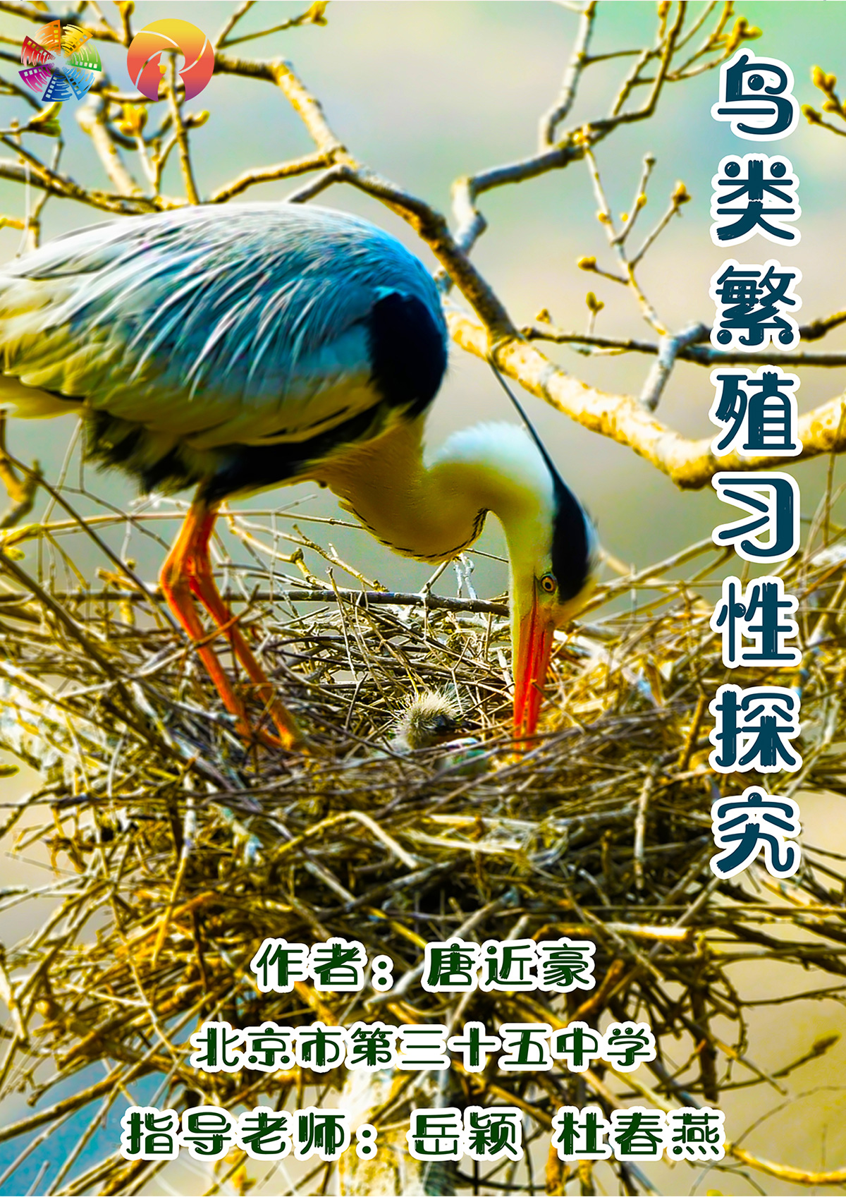 鸟类繁殖习性研究