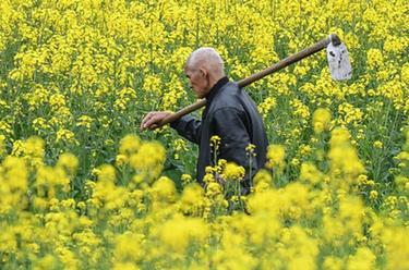 桂北农民春耕忙