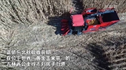 吉林：&ldquo;无人农场&rdquo;实现玉米无人自动收割