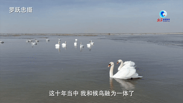 全球连线｜内蒙古乌梁素海：人湖鸟再度和谐共生