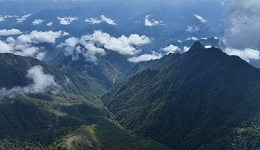 &ldquo;飞阅&rdquo;高黎贡山 航拍探秘&ldquo;世界物种基因库&rdquo;