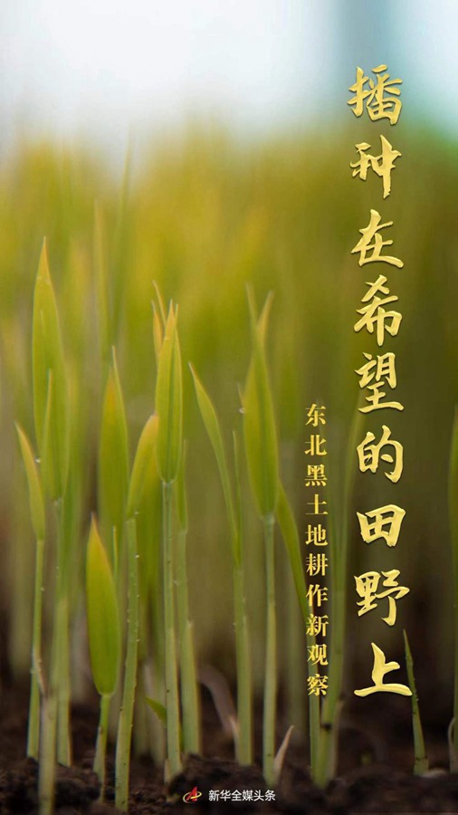 播种在希望的田野上&mdash;&mdash;东北黑土地耕作新观察