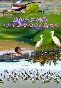 神州答卷｜燕赵大地铺展人与自然和谐共生新画卷