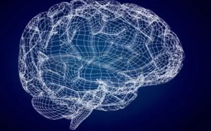 “神经谷粒”网络成功记录大脑活动
