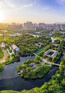 三垟湿地：生态修复 向绿而行