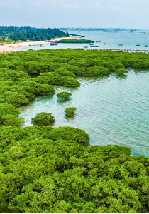 广东创新推动国土空间生态修复发展