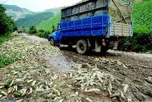 &ldquo;蔬菜垃圾&rdquo;能否变废为宝？