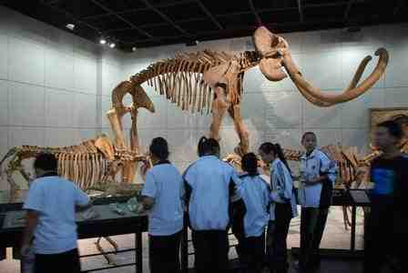 浙江科普周2000余项活动任淘你