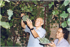 我们家的圣诞节