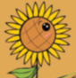 生长素：面向太阳的向日葵？