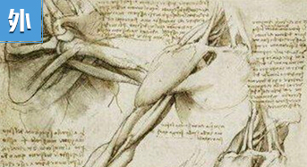 《人体的构造》：开创近代人体解剖学新纪元