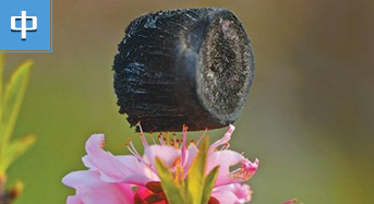 世界所能承受之轻