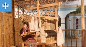 丝绸：永远的锦绣，不朽的纽带