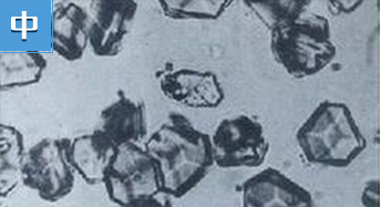 合成胰岛素：揭开生命奥秘的重要一步