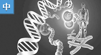 基因测序，破译人体天书