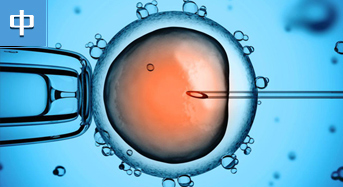 中国大陆首例试管婴儿&ldquo;萌珠&rdquo;诞生记