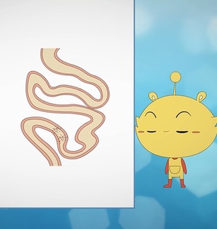 为什么把药物制作成胶囊形状？