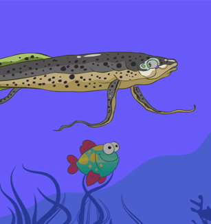 动物界的&ldquo;能工巧匠&rdquo;之一 鱼类中的&ldquo;鲁班&rdquo;