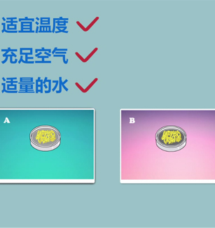 你知道种子萌发需要哪些条件吗