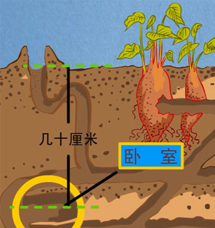 视频_科学原理一点通_科普中国