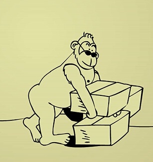 黑猩猩的学习能力