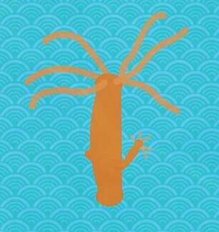 视频_科学原理一点通_科普中国